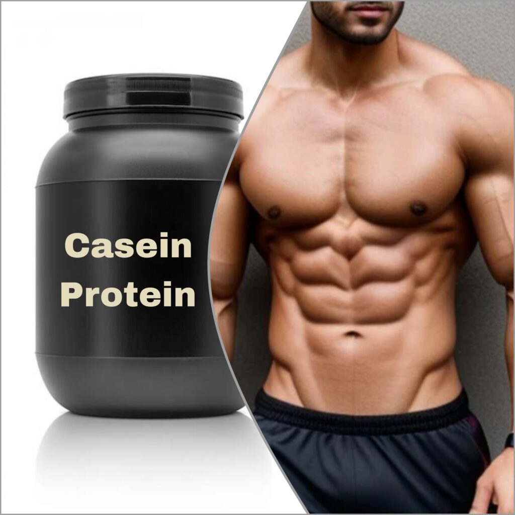 Best Casein Protein
